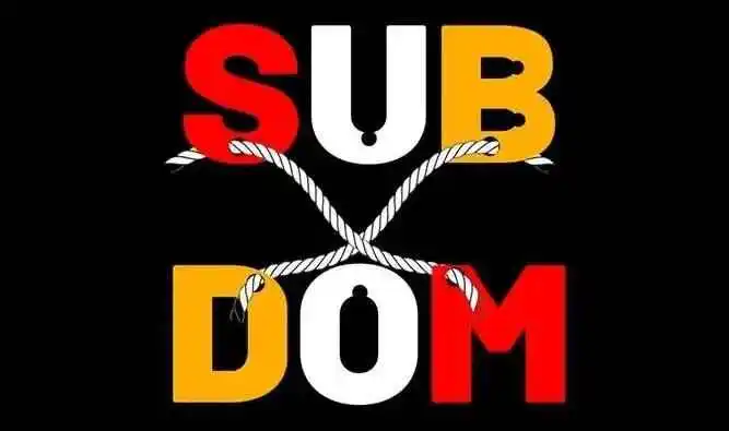 “成为完美sub”的秘密！你准备好接受挑战了吗？ 一