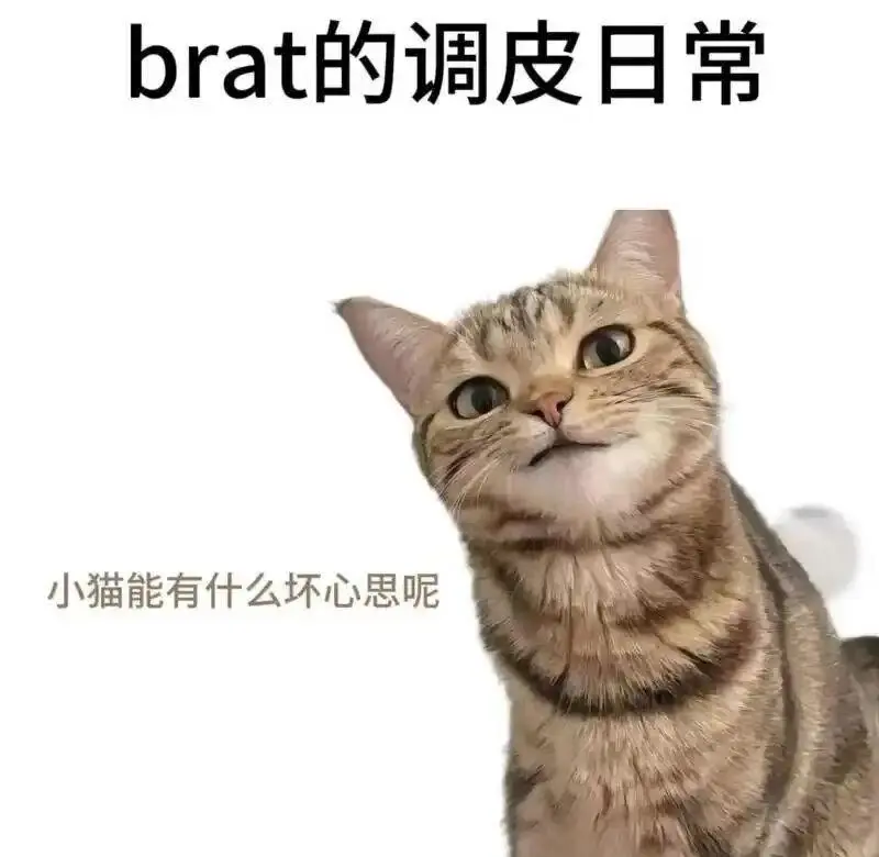 揭开m倾向的神秘面纱——那些你不知道的心理游戏 一