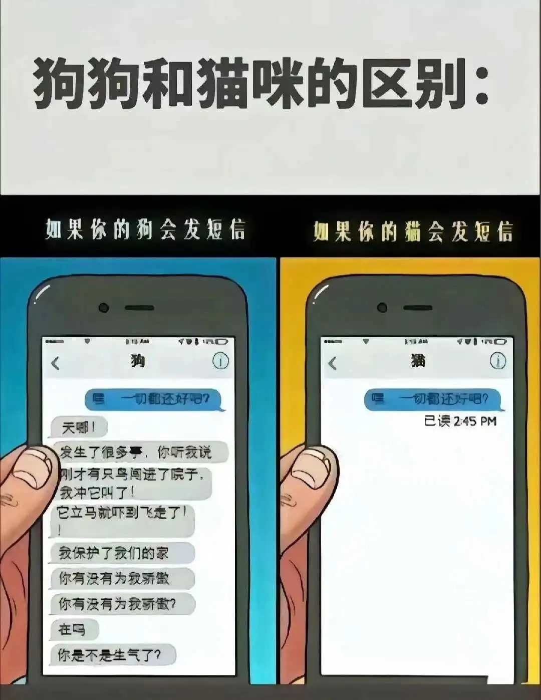 “DS关系”中的“信任契约”究竟是什么？ 一