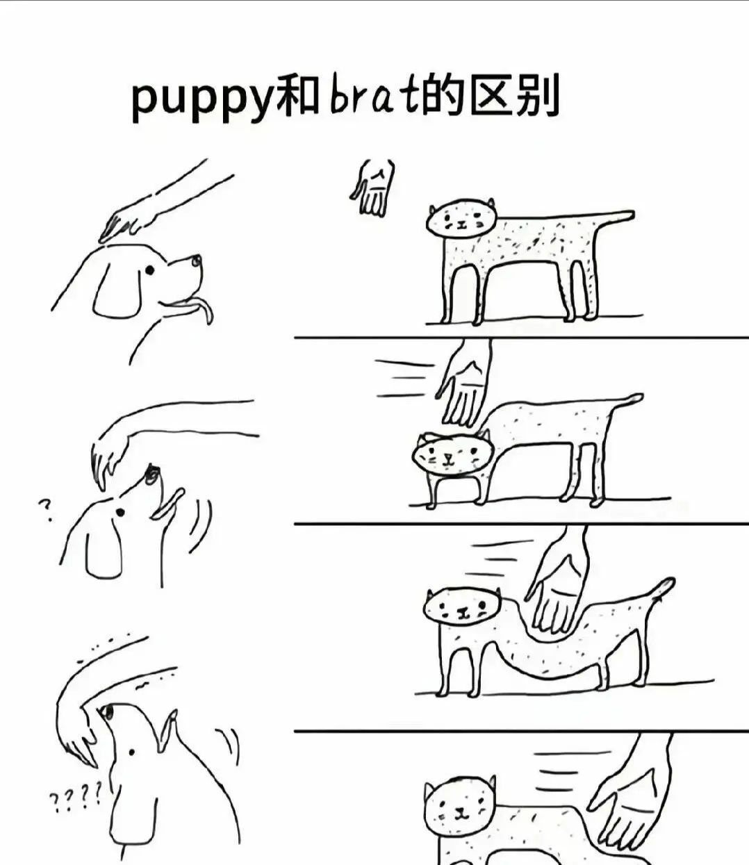 当我第一次踏入斯慕圈时，我的内心发生了什么变化 一