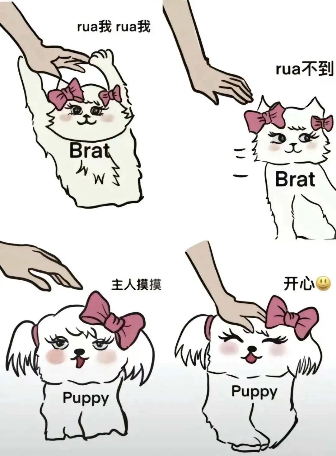 字母圈入圈是什么体验?揭开神秘面纱! 一