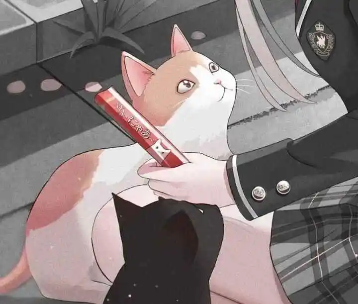 探索k8猫系:是什么让它在BDSM圈中备受追捧? 一