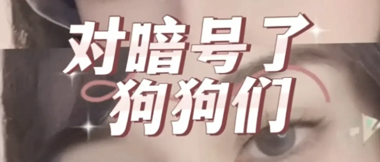 字母圈入圈全攻略：新手必看技巧与注意事项 一