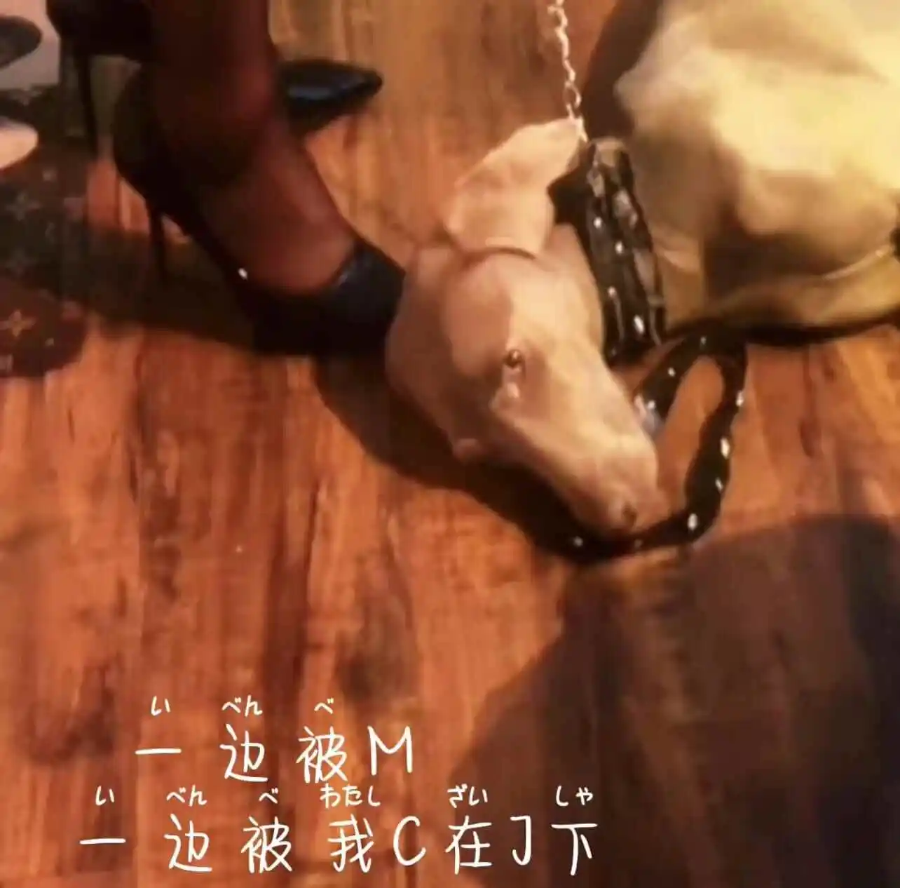 如何踏入BDSM圈子 – 揭秘新手的迷茫与探索之路 一