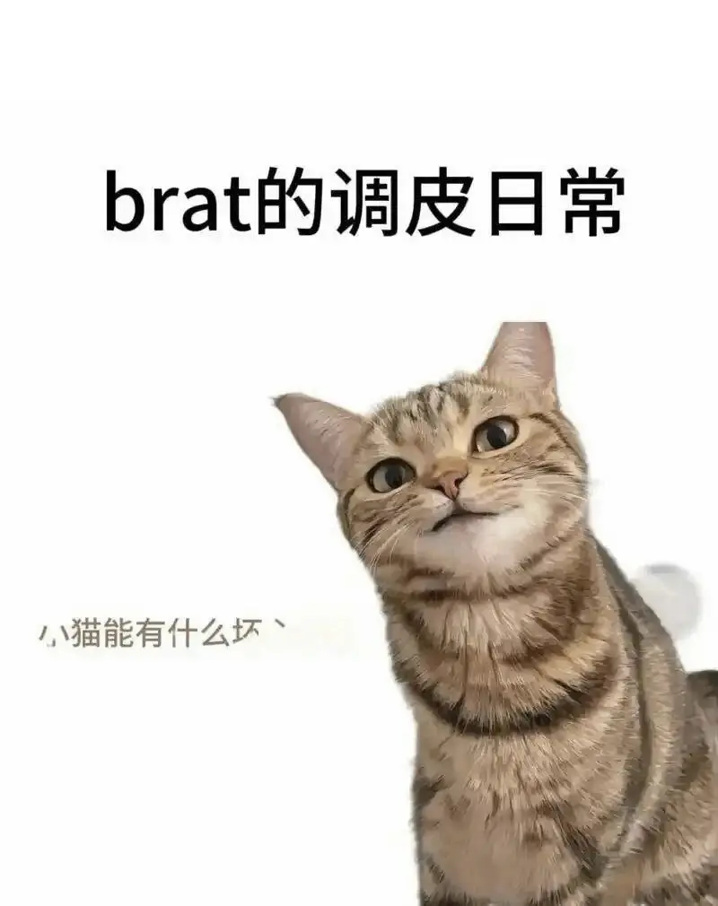 圈子里的“顽皮者”——聊聊brat属性的魅力与挑战 一