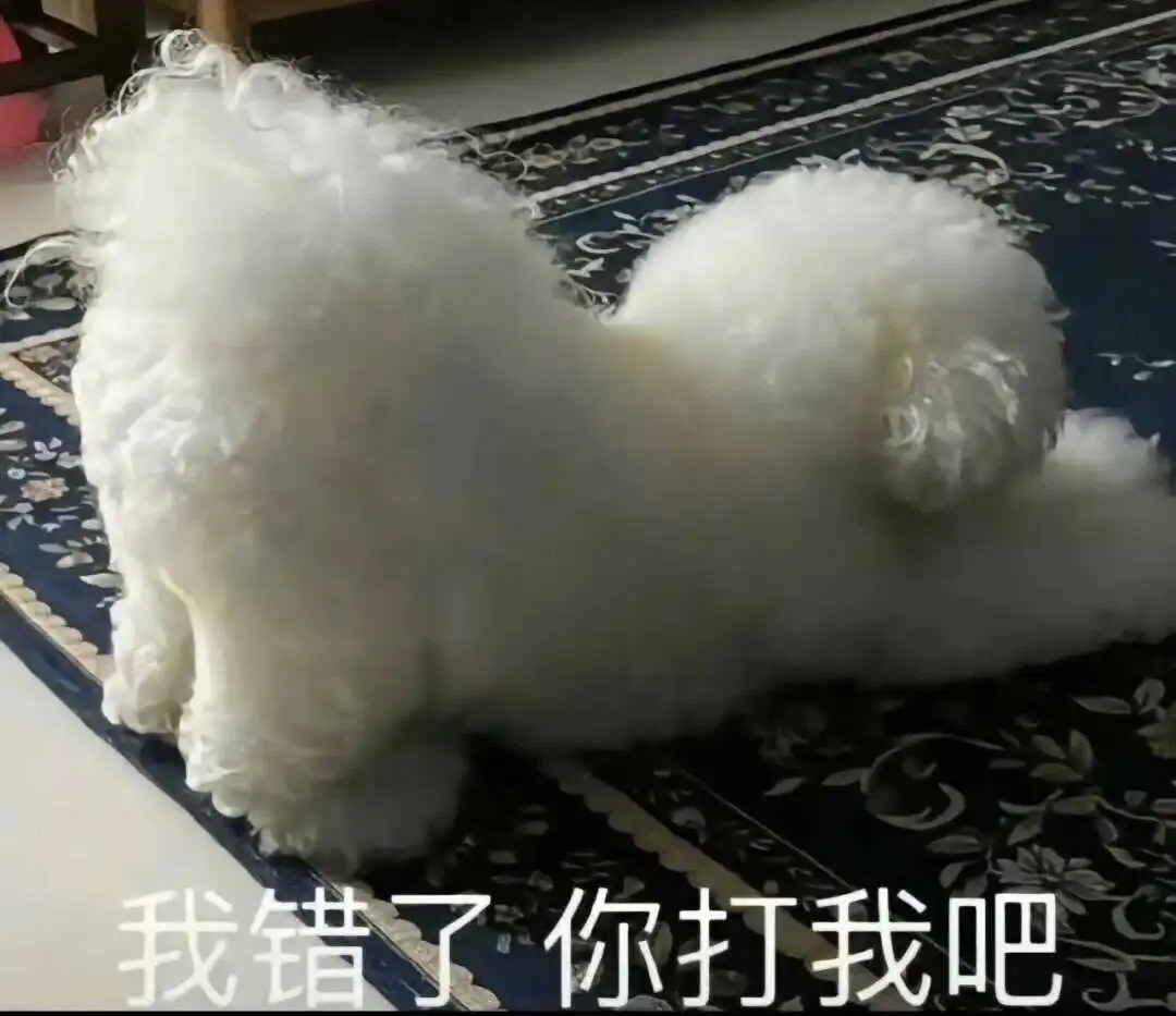 “brat属性”究竟是种什么样的心理特征？为什么它吸引了那么多爱好者？ 一
